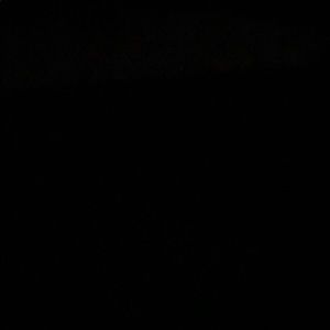 Meet your Posher, Quincy